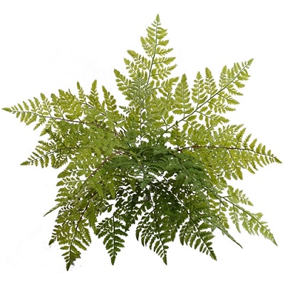 Leather Fern Bush 22 - Greenery & Floral - Plastic ferns for outdoor events